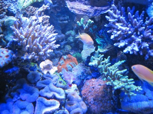 IMG_3032.jpg