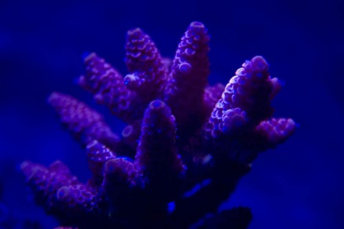 IMG_6087.JPG