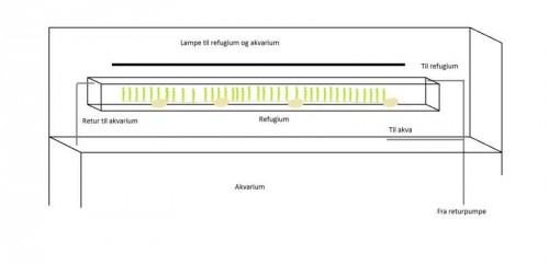 Refugium.jpg
