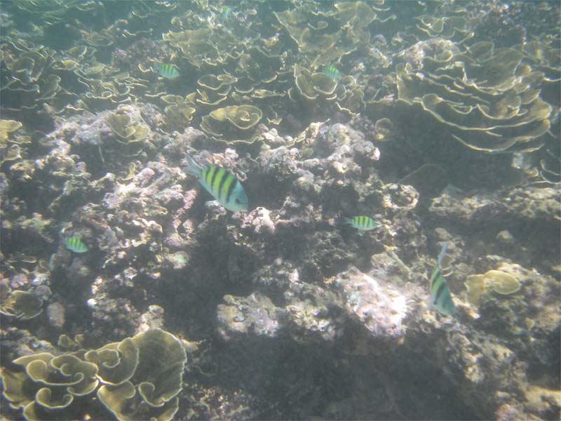IMGP0309.jpg