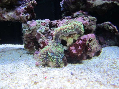 IMG_2820.JPG