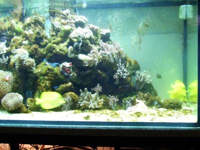 PICT0121 (Small).JPG