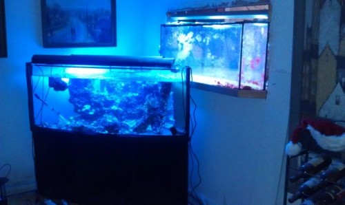 IMAG0090.jpg