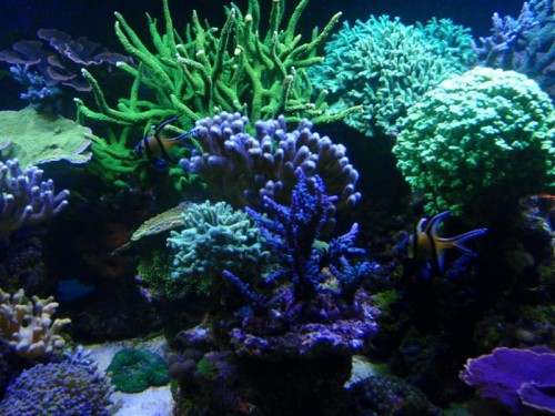 PC150060 (Medium).JPG