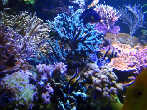 PC150055 (Medium).JPG