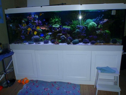 PC150014 (Medium).JPG