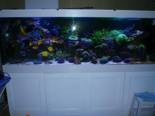 PC150013 (Medium).JPG