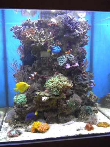 legoland mm 2011 038.JPG