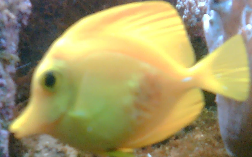 Billede0011#1.jpg