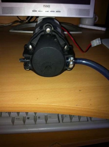 foto.JPG
