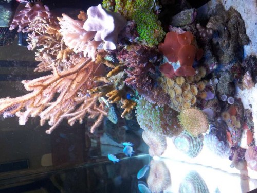 20120104_130429.jpg