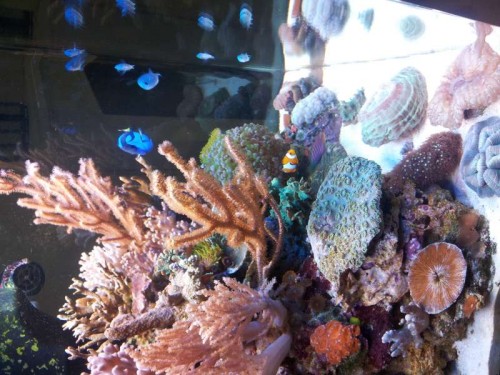 20120104_130417.jpg