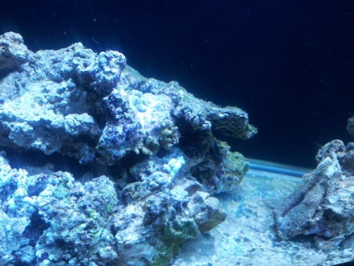 20120111_165635.jpg