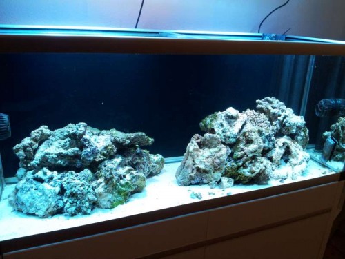 20120112_101026.jpg