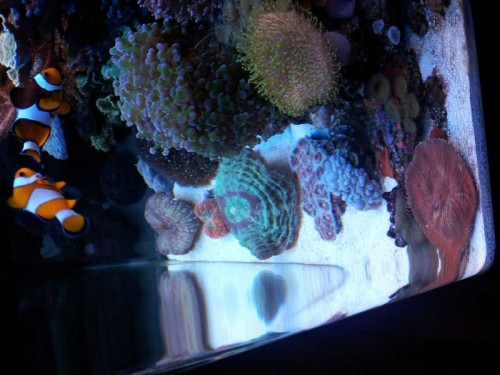 20120112_125051.jpg