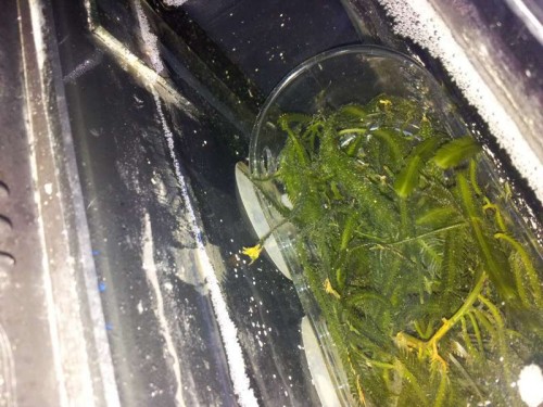 20120112_125247.jpg