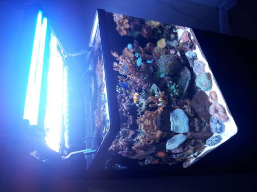 20120112_125300.jpg