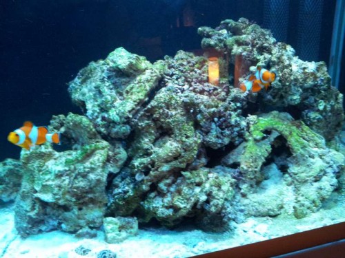 20120118_212850.jpg