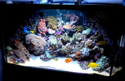 20120126_213737.jpg