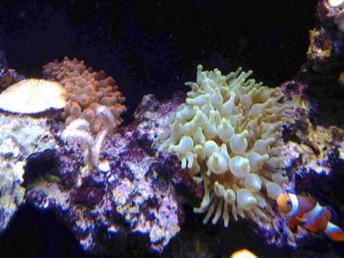 20120208_185659.jpg