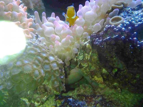 20120208_185437.jpg