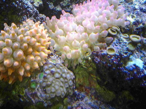 20120208_185426.jpg