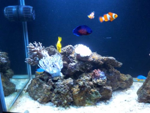 20120213_165101.jpg