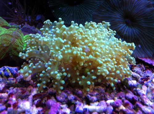 foto10.JPG