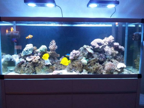 20120220_184400.jpg