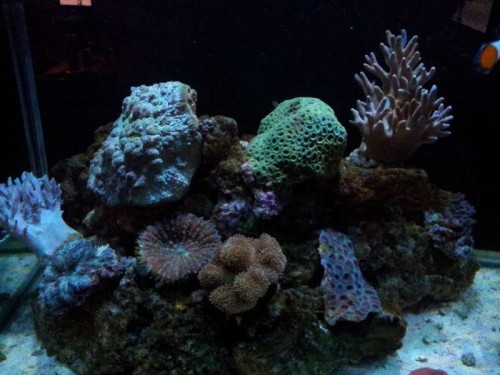 20120220_184724.jpg