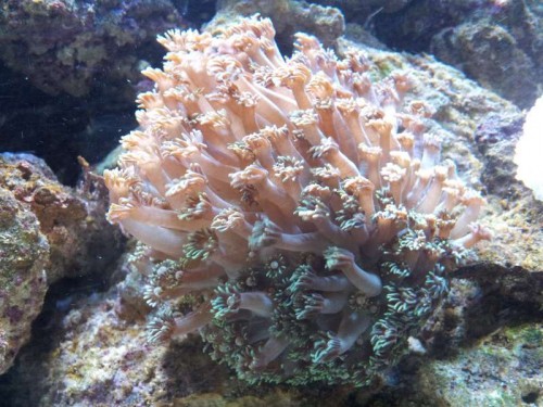20120220_185003.jpg