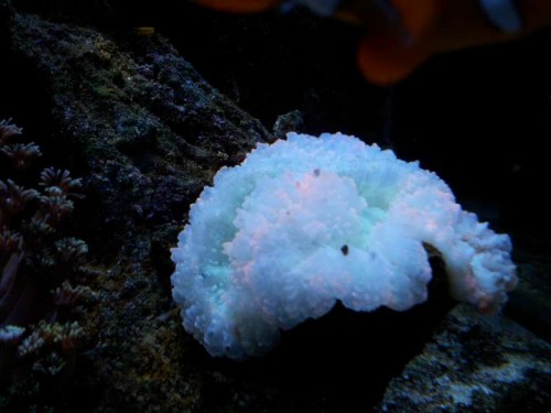 20120220_185038.jpg