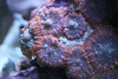 IMG_0041.JPG