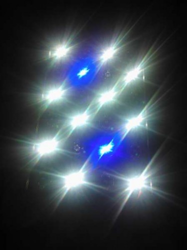 led (5).jpg