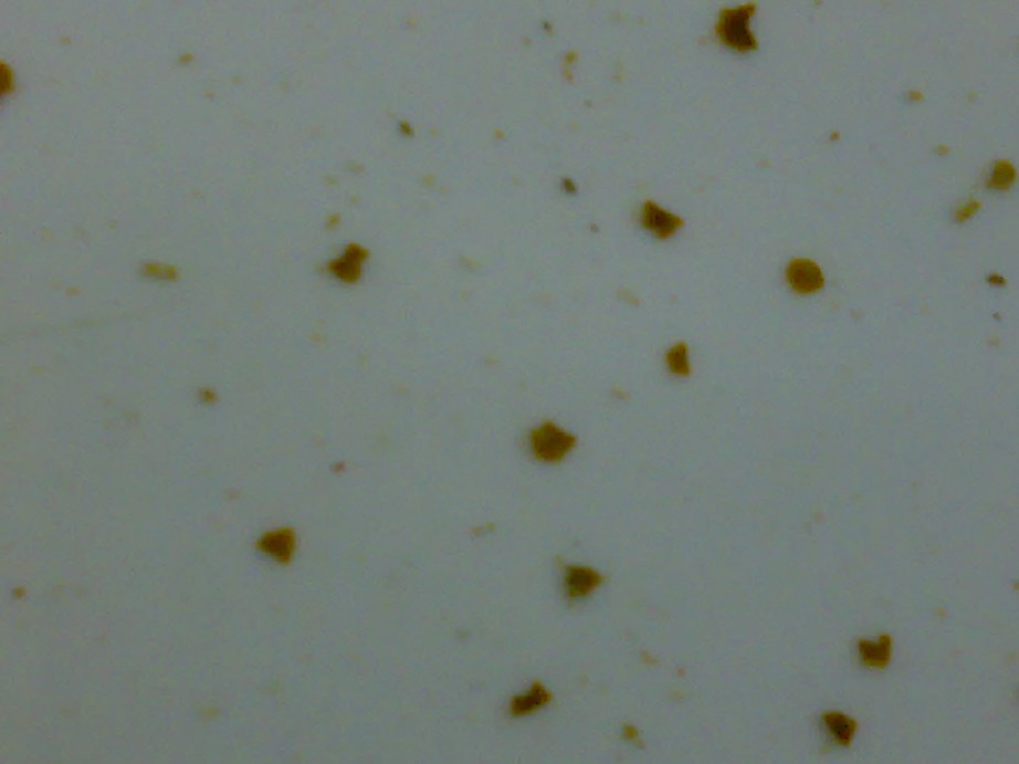 25012007140.jpg