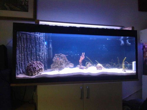 CameraZOOM-20120402203923199.jpg