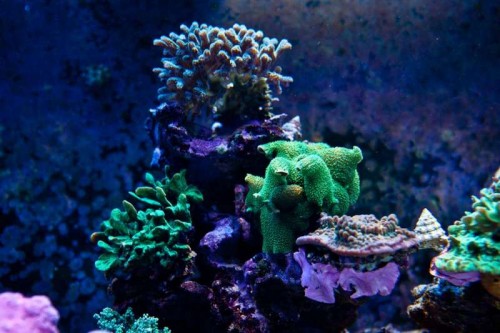 230423nesnej_pix (37 of 124).jpg