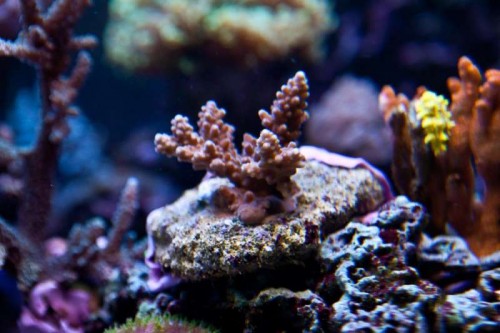 230423nesnej_pix (65 of 124).jpg