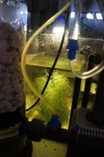 DSC00906.JPG