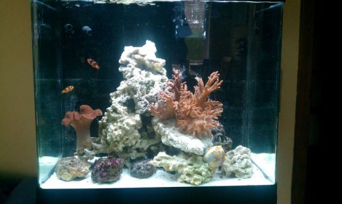IMAG0343.jpg