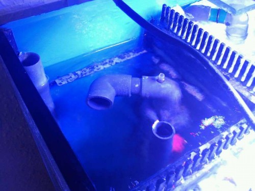 mms_img67665.jpg