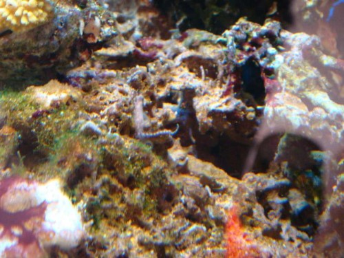 DSC01790.JPG