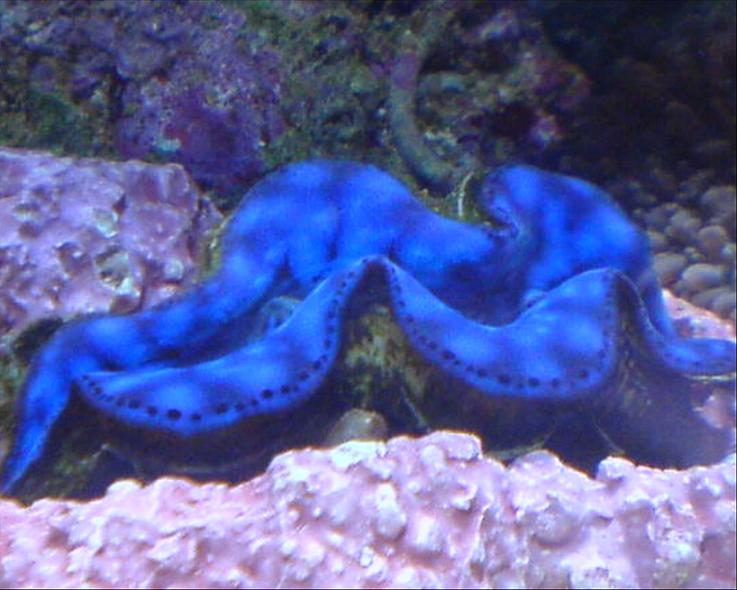 DSC00133.JPG