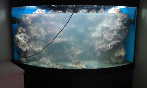 IMAG0330.jpg