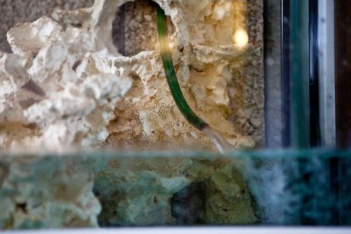 120614 eget akvarium (7 of 17).jpg