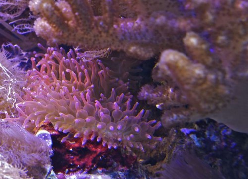 _IGP5494.jpg