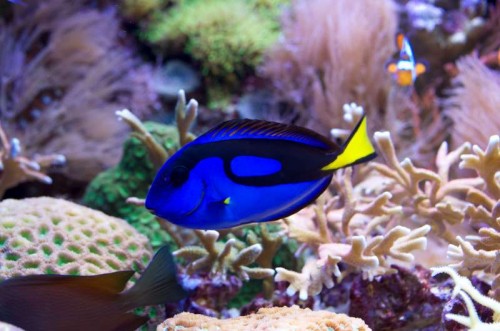 _IGP5503_1.JPG