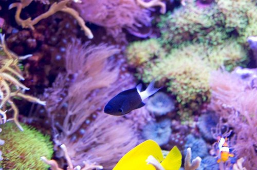 _IGP5576_1.JPG