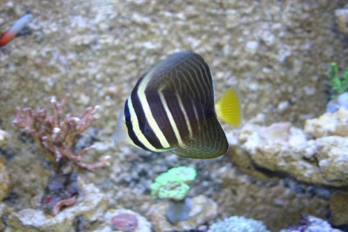IMG_7570.JPG
