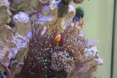 IMG_5900.JPG